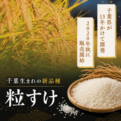無洗米 粒すけ 5kg  精米 白米[53680048]