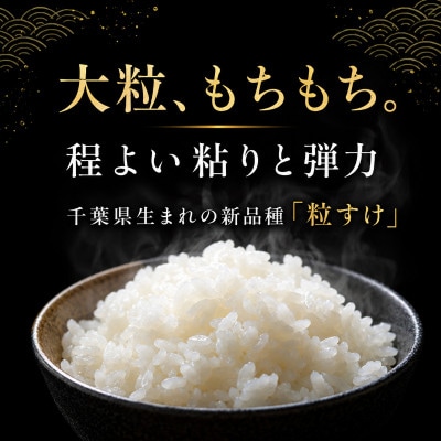 無洗米 粒すけ 5kg  精米 白米[53680048]