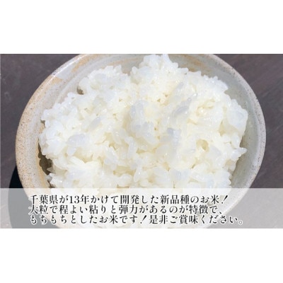 新米　令和7年 粒すけ 5kg 千葉産 白米[53680049]
