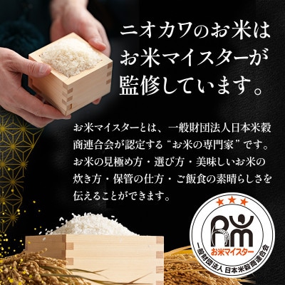 コシヒカリ 乾式無洗米 10kg(5kg×2)令和7年産[53680385]