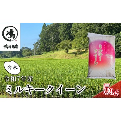 令和7年 ミルキークイーン　白米　5kg[53680324]