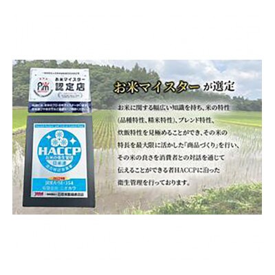 コシヒカリ 白米 10kg(5kg×2)令和6年産[53680384]