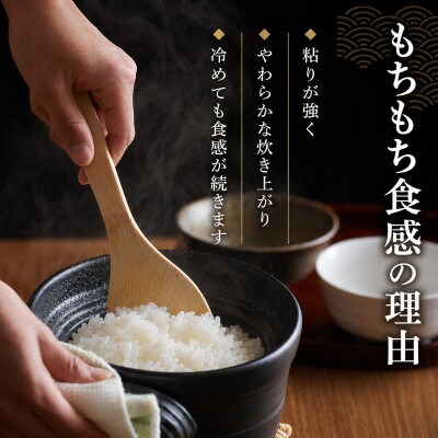 令和7年 ミルキークイーン 白米 10kg(5kg×2)[53680326]
