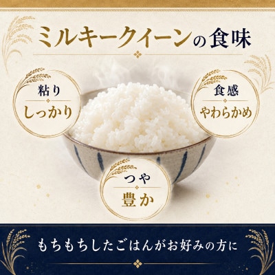 令和7年 ミルキークイーン 白米 10kg(5kg×2)[53680326]