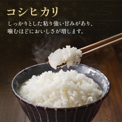 令和7年 無洗米 コシヒカリ 5kg[53680383]