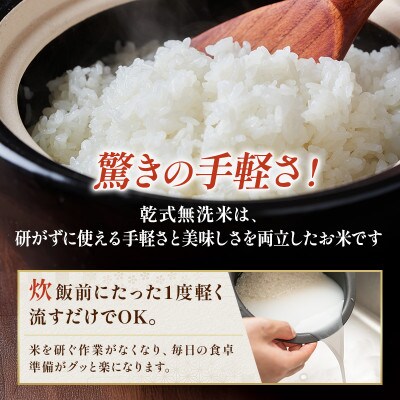 令和7年 無洗米 コシヒカリ 5kg[53680383]