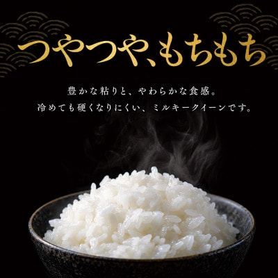 令和7年 ミルキークイーン 無洗米 10kg(5kg×2)[53680327]