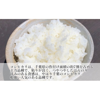 コシヒカリ　無洗米　2kg　令和7年産[53680382]