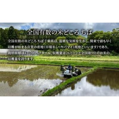 コシヒカリ　無洗米　2kg　令和7年産[53680382]