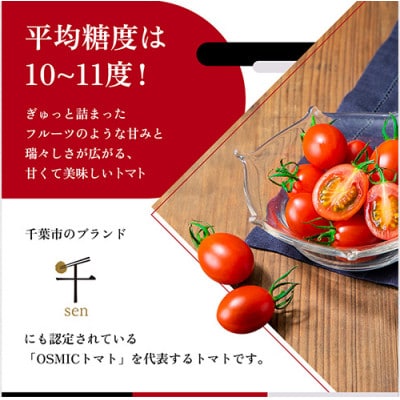 トマトグランプリ優勝 OSMIC トマト 500g Premium  [53680011]