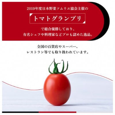 OSMIC トマト トマトグランプリ優勝 mini Premium 500g [53680011]
