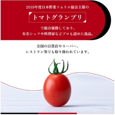 トマトグランプリ優勝 OSMIC トマト 500g Premium  [53680011]