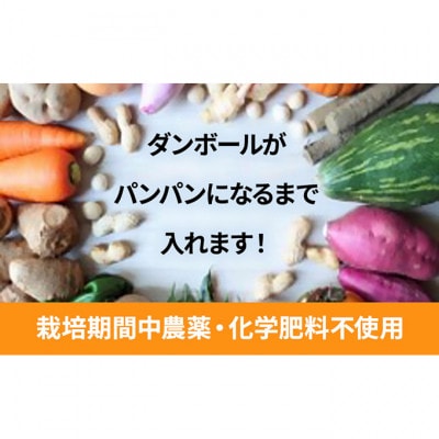1名様向け/野菜5種セット[53680569]