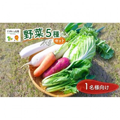 1名様向け/野菜5種セット[53680569]