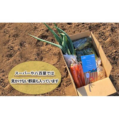 2～4名様向け/旬の野菜7種セット[53680570]