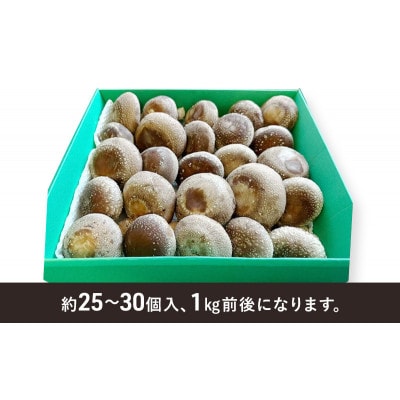 肉厚生椎茸1kg  千葉市 千葉県[53681329]