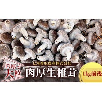 肉厚生椎茸1kg  千葉市 千葉県[53681329]