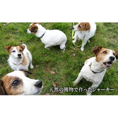 千葉県で獲れた猪ペット用ジャーキー(10個セット)計500g[53680349]
