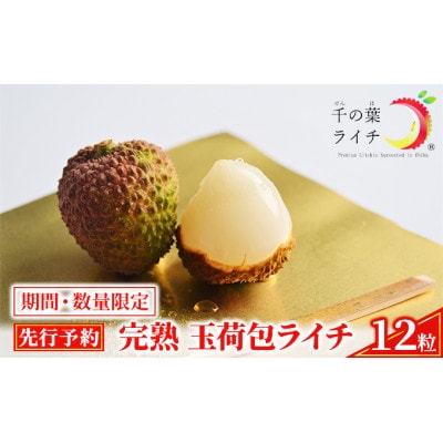 【千の葉ライチ】の 完熟 玉荷包ライチ (先行予約)[53680309]