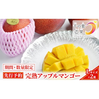 【千の葉ライチ】完熟アップルマンゴーL×2果入 (先行予約)[53680310]
