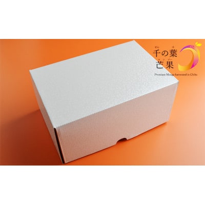 【千の葉ライチ】完熟アップルマンゴーL×2果入 (先行予約)[53680310]