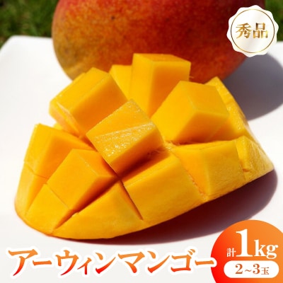 【2025年6月～8月の発送】秀品アーウィンマンゴー1kg(2～3玉)