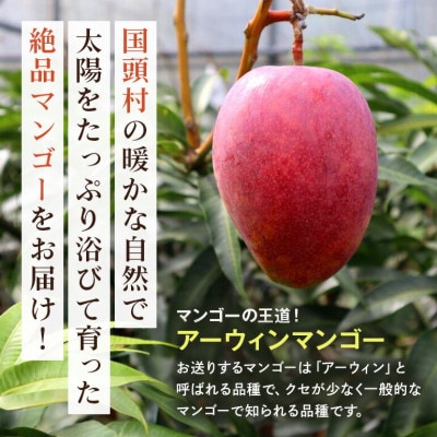 【2025年6月～8月の発送】秀品アーウィンマンゴー1kg(2～3玉)
