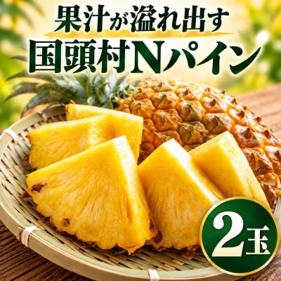 【2027年7月中旬から順次発送】沖縄パイナップル定番 国頭村産のNパイン2玉