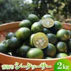 【2025年9月～10月の発送】ゆいゆい国頭が厳選した青切りシークヮーサー2kg