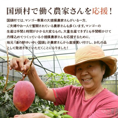 【2026年6月から順次発送】優品アーウィンマンゴー5kg(8～12玉)