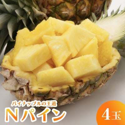 【2025年7月～8月の発送】パイナップルの王道 Nパイン4玉