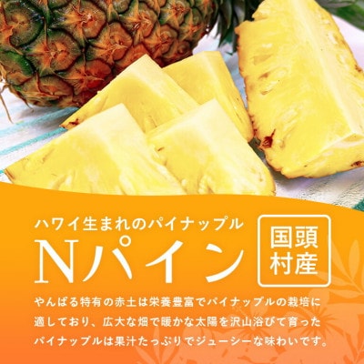 【2025年7月～8月の発送】パイナップルの王道 Nパイン4玉