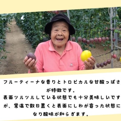 【2025年5月頃から順次発送】国頭村産パッションフルーツ1kg(10～12玉)