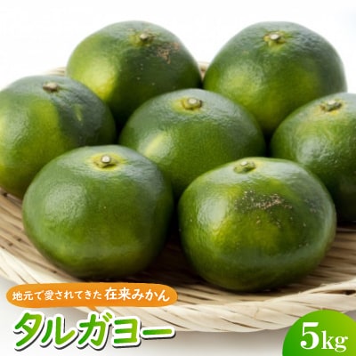 【2025年10月頃から順次発送】地元で愛されてきた在来みかん タルガヨー5kg