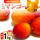 【2026年6月から順次発送】数量限定の訳ありミニマンゴー1kg