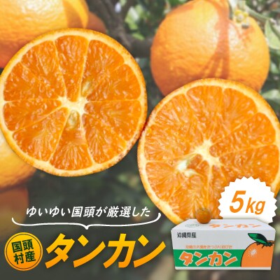 【2026年1月から順次発送】ゆいゆい国頭が厳選した国頭村産タンカン5kg