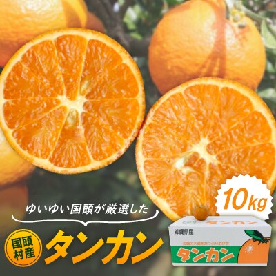 【2026年1月から順次発送】ゆいゆい国頭が厳選した国頭村産タンカン10kg