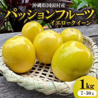 【2025年12月から順次発送】国頭村産パッションフルーツ イエロークイーン 1kg(7～10玉)