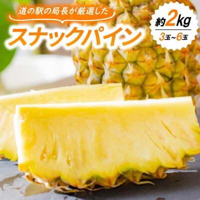【2026年7月上旬より順次発送】道の駅の局長が厳選した「スナックパイン」約2kg(3玉～6玉)