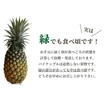 【2027年5月下旬から順次発送・ハウス栽培】パイナップルの王様 ゴールドバレル大玉1玉