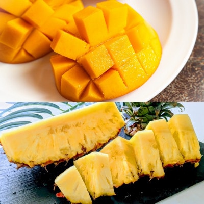 【発送月固定定期便】沖縄2大フルーツセット アップルマンゴー&パイナップル全2回