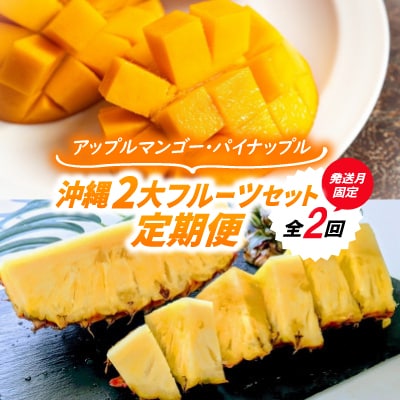 【発送月固定定期便】沖縄2大フルーツセット アップルマンゴー&パイナップル全2回