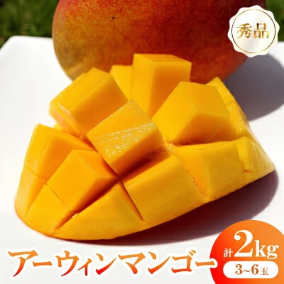 【発送月固定定期便】沖縄2大フルーツセット アップルマンゴー&パイナップル全2回