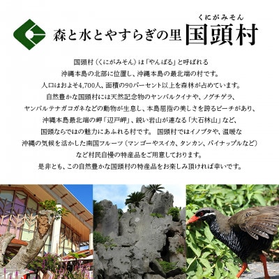 【発送月固定定期便】沖縄2大フルーツセット アップルマンゴー&パイナップル全2回