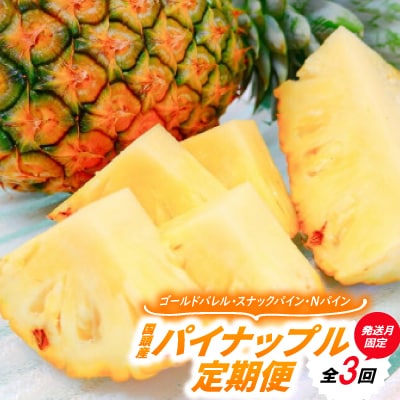 【発送月固定定期便】国頭産パイナップル3種セット(ゴールドバレル・スナックパイン・Nパイン)全3回