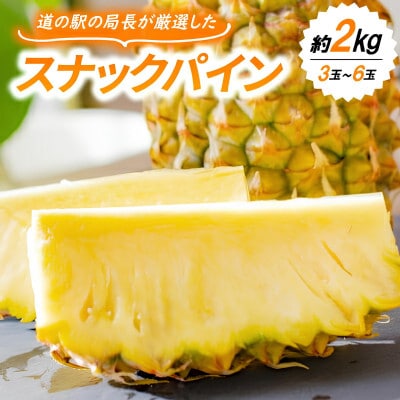 【発送月固定定期便】国頭産パイナップル3種セット(ゴールドバレル・スナックパイン・Nパイン)全3回