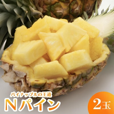 【発送月固定定期便】国頭産パイナップル3種セット(ゴールドバレル・スナックパイン・Nパイン)全3回
