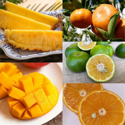 【発送月固定定期便】南国プレミアムフルーツ定期便(マンゴー&パイナップル2種&柑橘3種)全6回