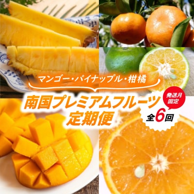 【発送月固定定期便】南国プレミアムフルーツ定期便(マンゴー&パイナップル2種&柑橘3種)全6回