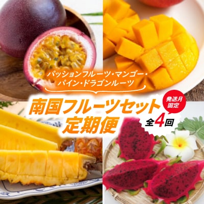 【発送月固定定期便】南国フルーツセット(パッションフルーツ&マンゴー&パイン&ドラゴンルーツ)全4回